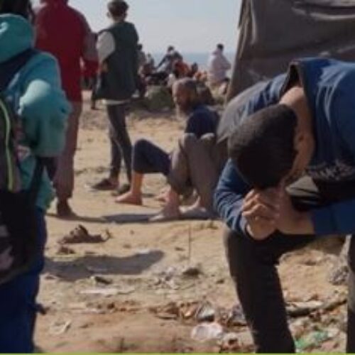 نافذة مفتوحة على فلسطين