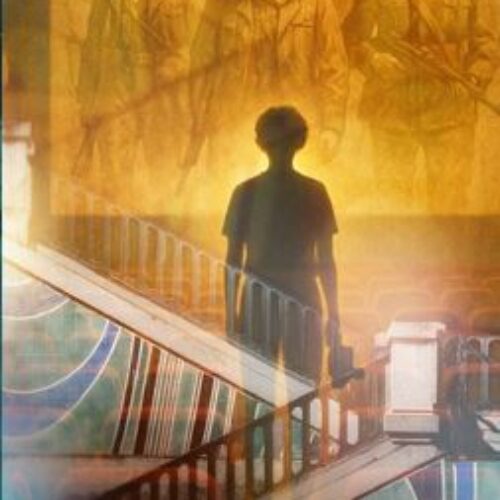 بانوراما السينما الجزائرية