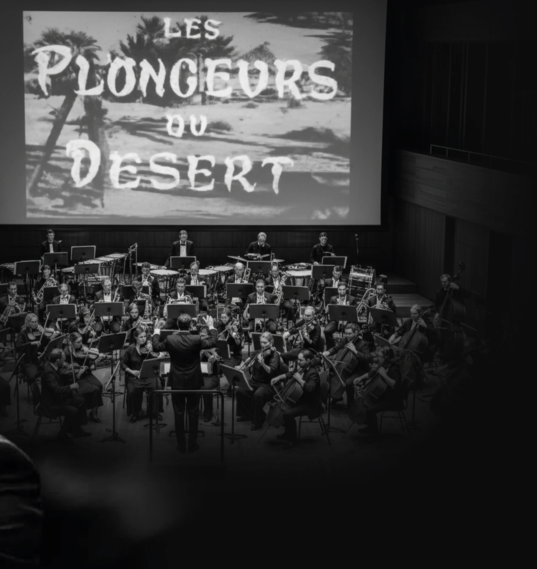 غطاسو الصحراء