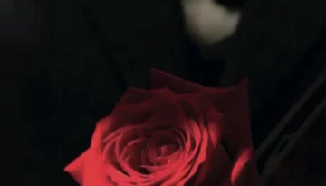 Capture d’écran 2025-12-02 à 11.23.49 AM