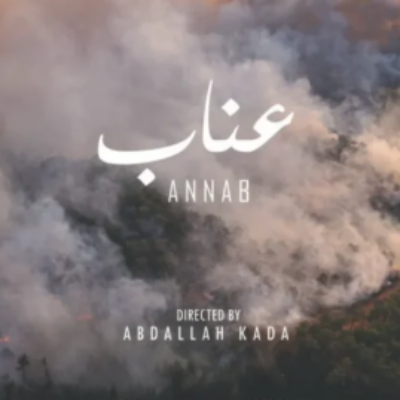 لم ينل منها الأرهاب ولا الحرائق.. »عناب ».. تحيا بعزيمة أهلها